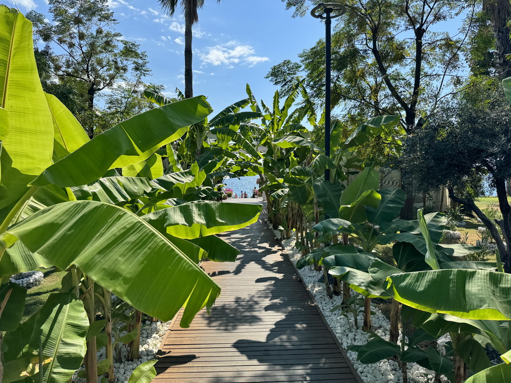 Path at the Roxy Beach Club at the Beach Park