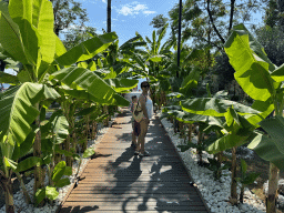 Miaomiao and Max at the path at the Roxy Beach Club at the Beach Park