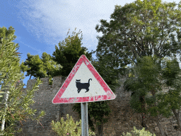 Cat warning sign at the Roman Harbour in front of the City Wall