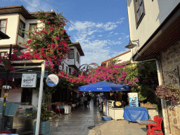 Shops and restaurants at the Hesapçi Sokak alley