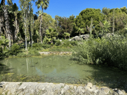 Pond at the Atatürk Kültür Park