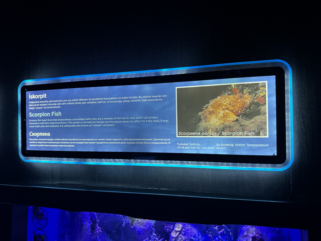 Explanation on the Scorpion Fish at the First Floor of the Aquarium at the Antalya Aquarium