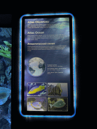 Information on the Atlas Ocean and its fish species at the First Floor of the Aquarium at the Antalya Aquarium
