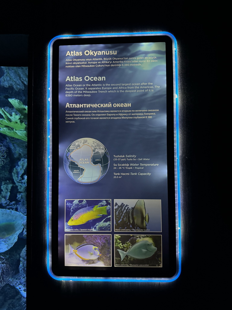 Information on the Atlas Ocean and its fish species at the First Floor of the Aquarium at the Antalya Aquarium