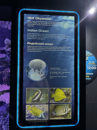 Information on the Indian Ocean and its fish species at the First Floor of the Aquarium at the Antalya Aquarium