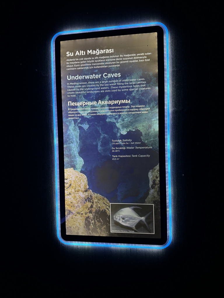 Information on the Underwater Cave and its fish species at the First Floor of the Aquarium at the Antalya Aquarium