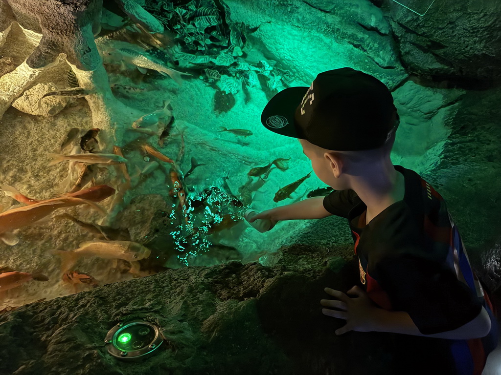 Max bottle feeding Koi at the First Floor of the Aquarium at the Antalya Aquarium