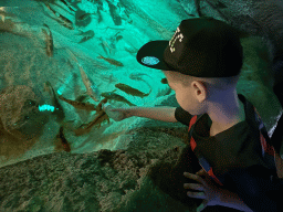 Max bottle feeding Koi at the First Floor of the Aquarium at the Antalya Aquarium