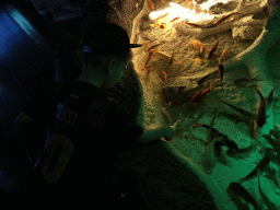 Max bottle feeding Koi at the First Floor of the Aquarium at the Antalya Aquarium