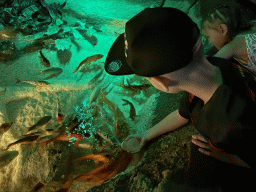 Max bottle feeding Koi at the First Floor of the Aquarium at the Antalya Aquarium