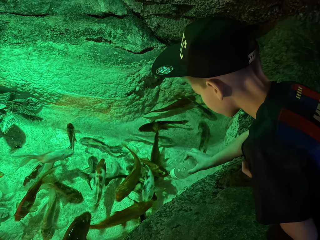 Max bottle feeding Koi at the First Floor of the Aquarium at the Antalya Aquarium