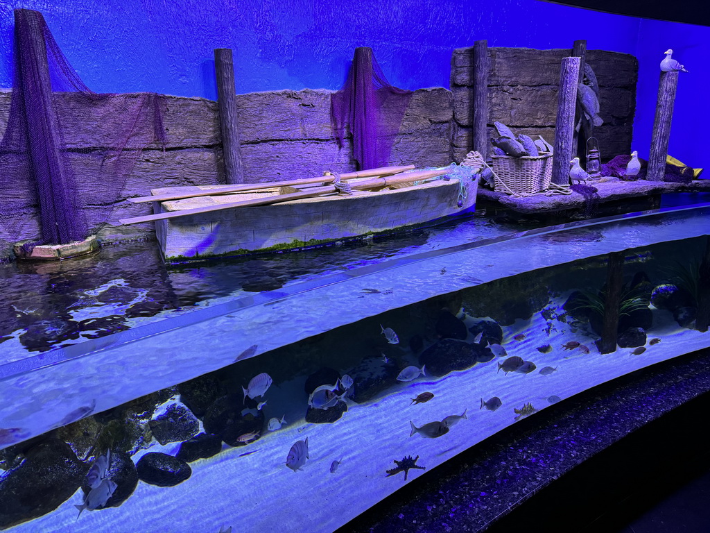 Fishes from the Demre Coastal Village at the First Floor of the Aquarium at the Antalya Aquarium
