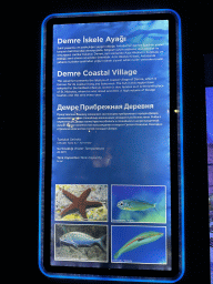 Information on the Demre Coastal Village and its animal species at the First Floor of the Aquarium at the Antalya Aquarium