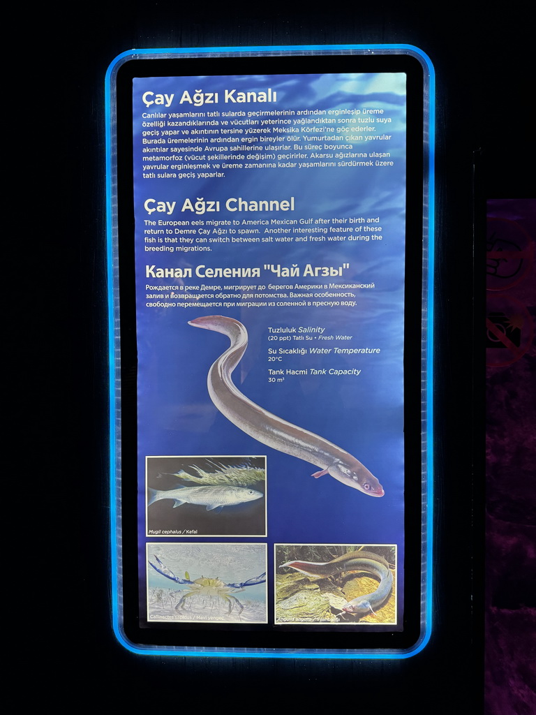 Information on the Cay Agzi Channel and its animal species at the First Floor of the Aquarium at the Antalya Aquarium