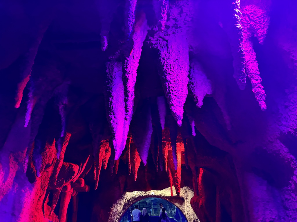 Ceiling of the Underwater Cave section of the World`s Biggest Tunnel Aquarium at the Ground Floor of the Aquarium at the Antalya Aquarium