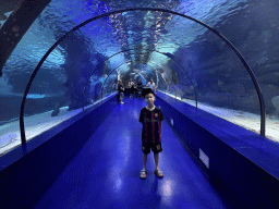 Max at the Pier Bottom section of the World`s Biggest Tunnel Aquarium at the Ground Floor of the Aquarium at the Antalya Aquarium