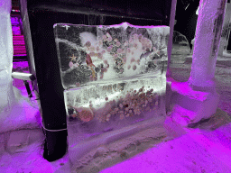 Frozen animals at the Snow World at the Antalya Aquarium