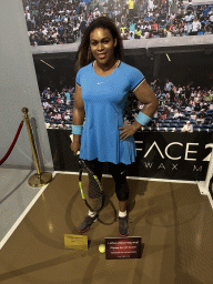 Statue of Serena Williams at the Face 2 Face Wax Museum at the Antalya Aquarium, with explanation