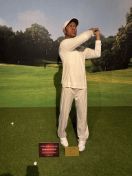 Statue of Tiger Woods at the Face 2 Face Wax Museum at the Antalya Aquarium, with explanation