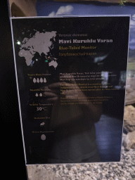 Explanation on the Blue-tailed Monitor at the WildPark Antalya at the Antalya Aquarium