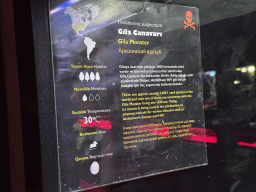Explanation on the Gila Monster at the WildPark Antalya at the Antalya Aquarium