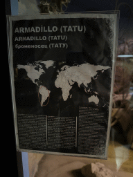 Explanation on the Armadillo at the WildPark Antalya at the Antalya Aquarium