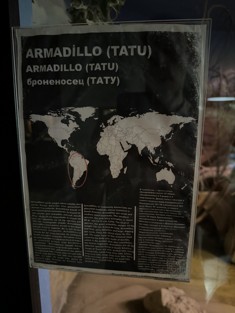 Explanation on the Armadillo at the WildPark Antalya at the Antalya Aquarium