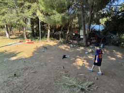 Max with cats and kittens at the Cat Shelter at the Atatürk Kültür Park