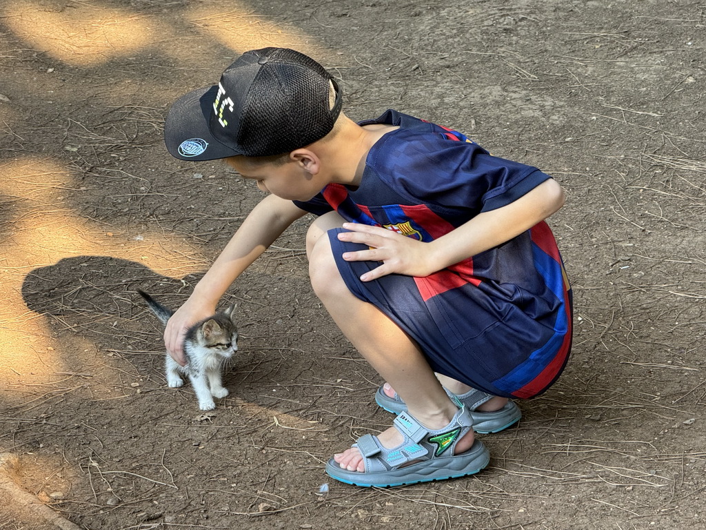 Max with a kitten at the Cat Shelter at the Atatürk Kültür Park