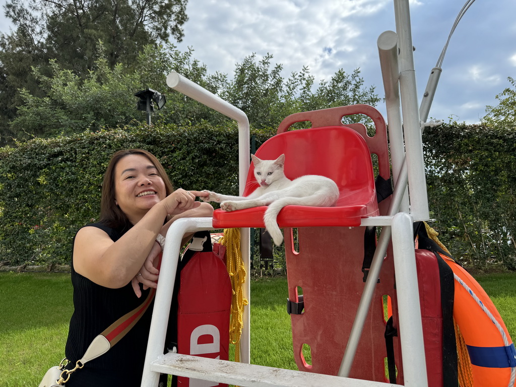 Miaomiao with a cat at the Lifeguard Chair at the swimming pool at the garden of the Rixos Downtown Antalya hotel