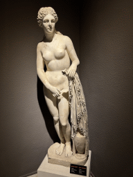 Statue of Aphrodite at the Perge West Street and F-5 Fountain Gallery at the ground floor of the Antalya Archeology Museum, with explanation