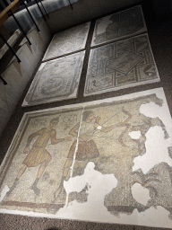 Mosaics on the floor of the Mosaic Hall at the ground floor of the Antalya Archeology Museum