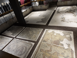 Mosaics on the floor of the Mosaic Hall at the ground floor of the Antalya Archeology Museum