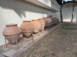 Urns and kitten at the garden of the Antalya Archeology Museum