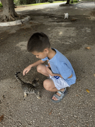 Max with kittens at the Atatürk Kültür Park