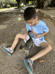 Max with kittens at the Atatürk Kültür Park