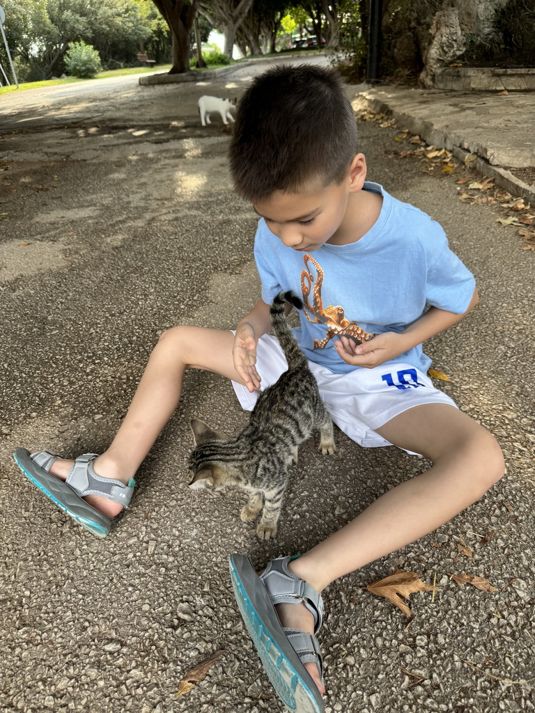 Max with kittens at the Atatürk Kültür Park