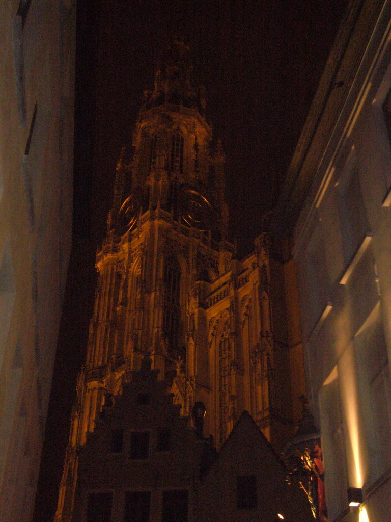 The Tower of the Cathedral of Our Lady, viewed from the Pelgrimstraat street, by night