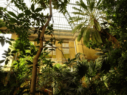 Interior of the Butterfly Garden at the Antwerp Zoo