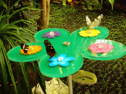 Butterflies at the Butterfly Garden at the Antwerp Zoo