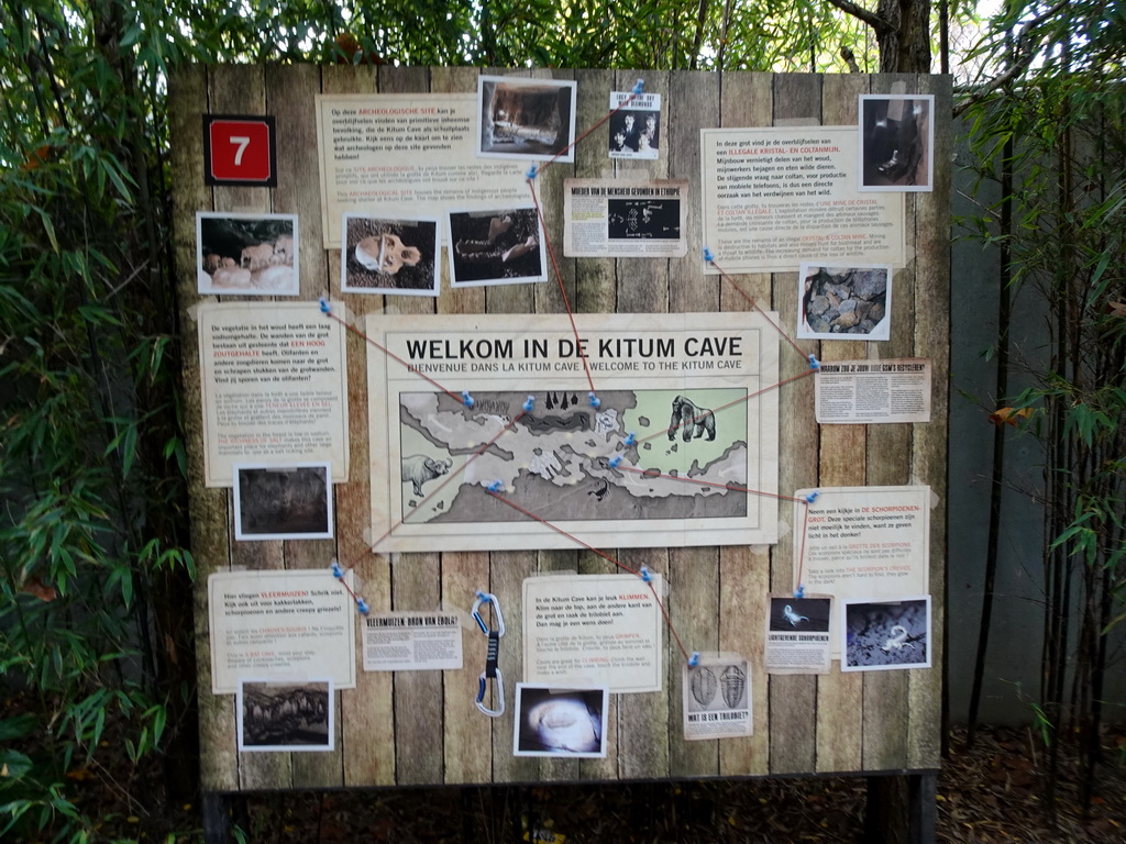 Information on the Kitum Cave at Antwerp Zoo