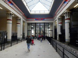 Rothschild`s Giraffe in the Egyptian Temple at the Antwerp Zoo