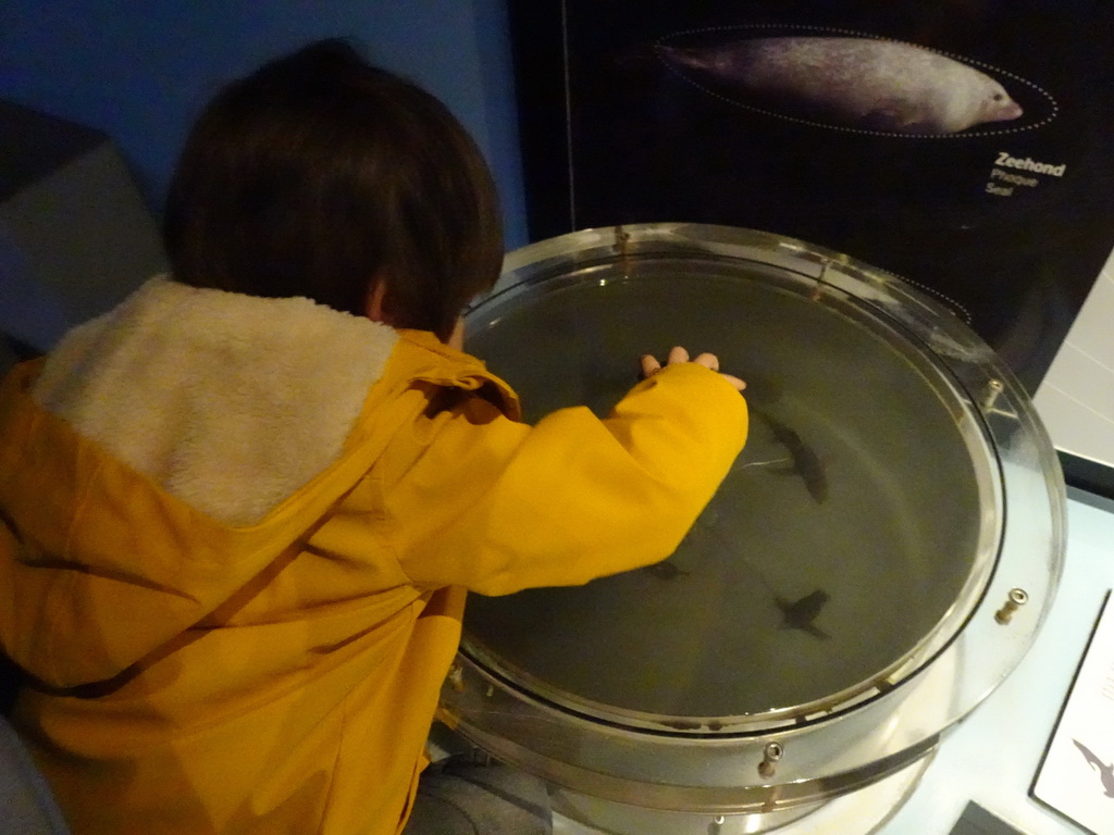 Max playing a game at the Vriesland building at the Antwerp Zoo