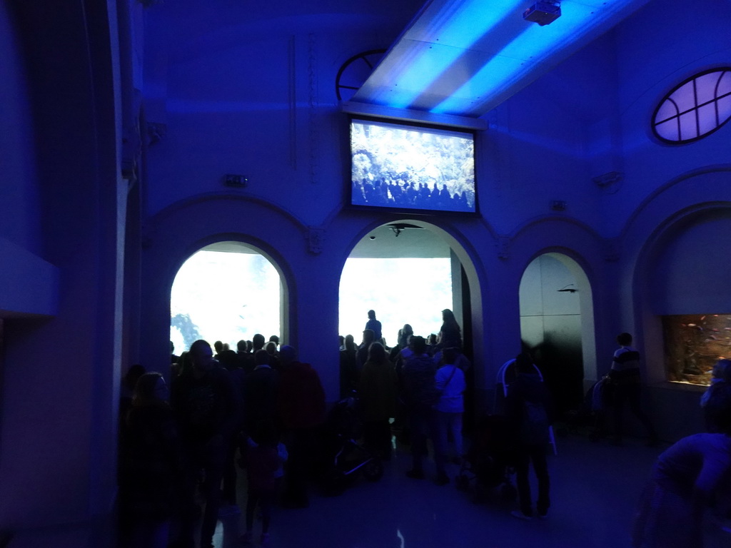 People looking at the Reef Aquarium at the Aquarium of the Antwerp Zoo