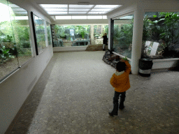 Max at the Bird Building at the Antwerp Zoo