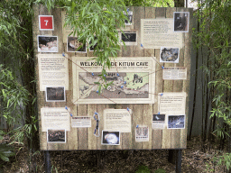 Information on the Kitum Cave at Antwerp Zoo