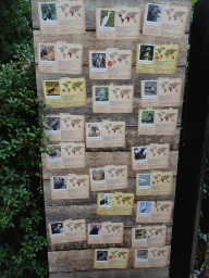 Information on the bird species at the Savannah at the Antwerp Zoo