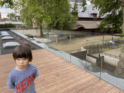 Max at a viewing platform at the Antwerp Zoo