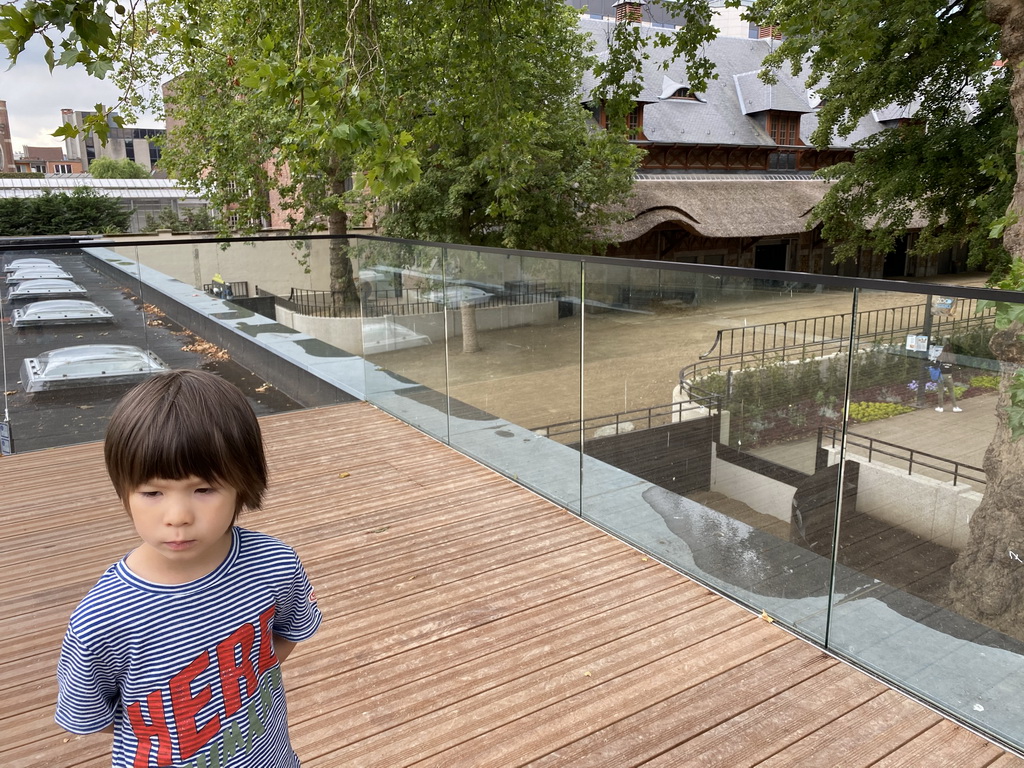 Max at a viewing platform at the Antwerp Zoo