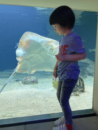 Max with a Stingray at the Aquarium of the Antwerp Zoo